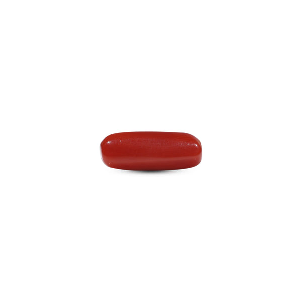 Red Coral - 6 Carat