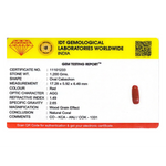 Red Coral - 6 Carat