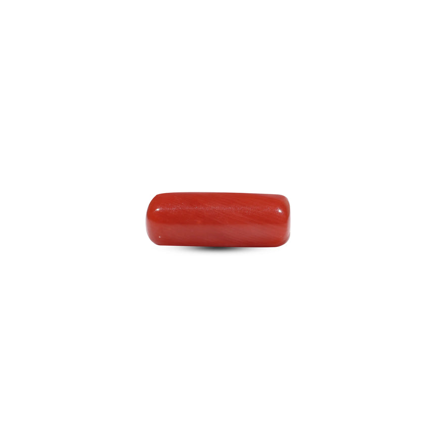 Red Coral - 6.15 Carat - Pramogh