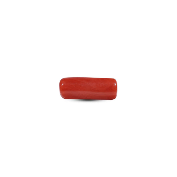 Red Coral - 6.15 Carat