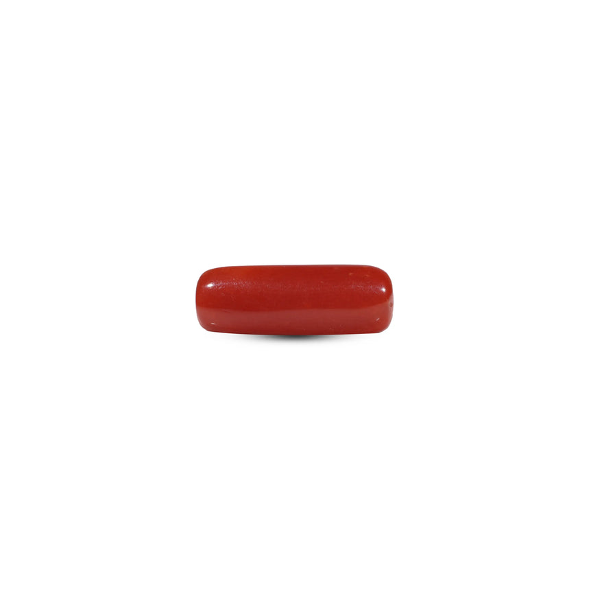 Red Coral - 6.45 Carat - Pramogh