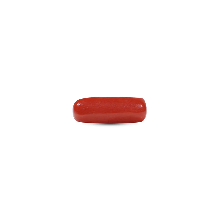 Red Coral - 5.85 Carat - Pramogh