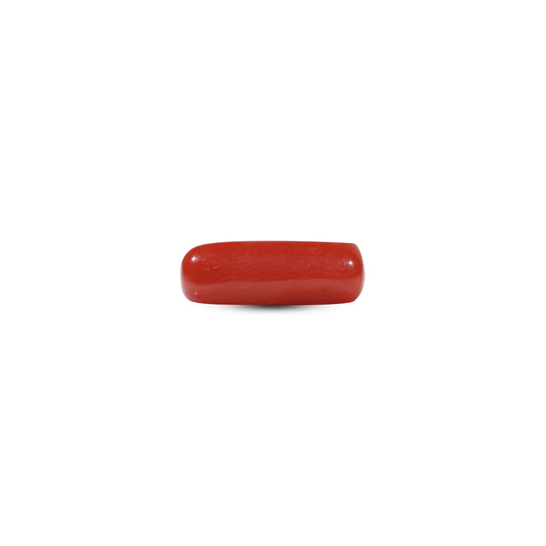 Red Coral - 5.85 Carat - Pramogh
