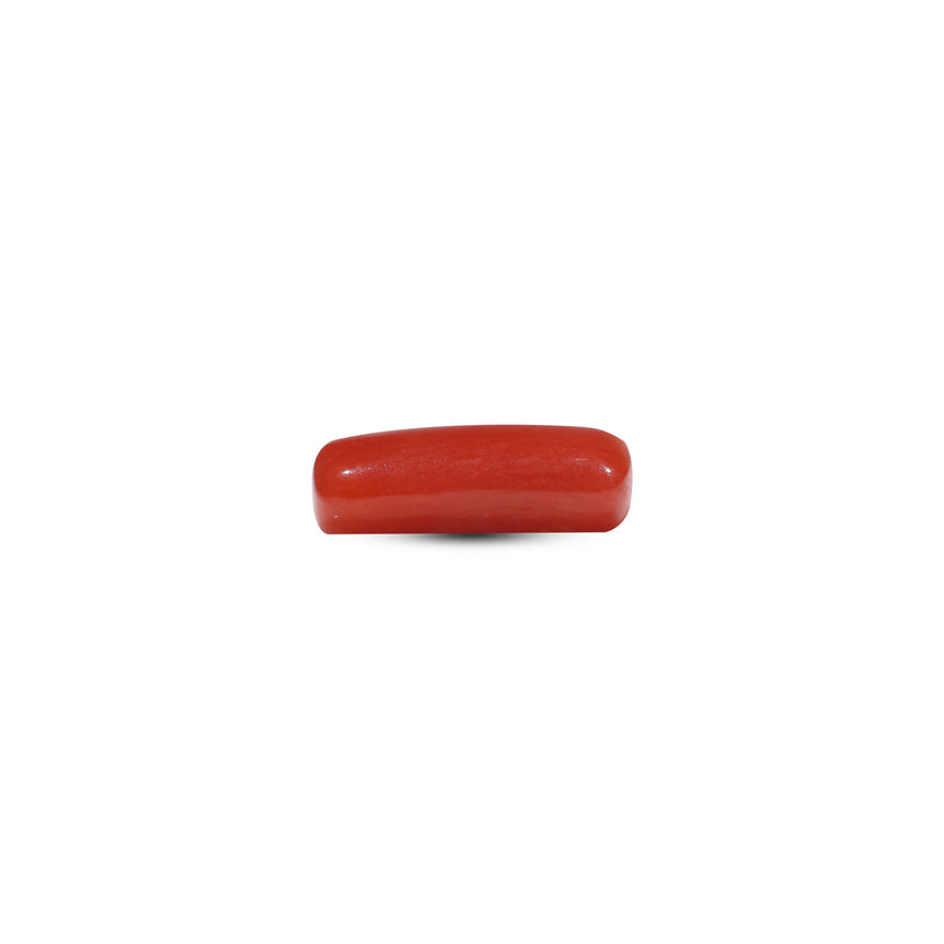 Red Coral - 5.85 Carat