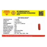 Red Coral - 5.85 Carat