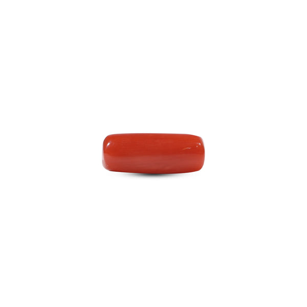 Red Coral - 7.3 Carat