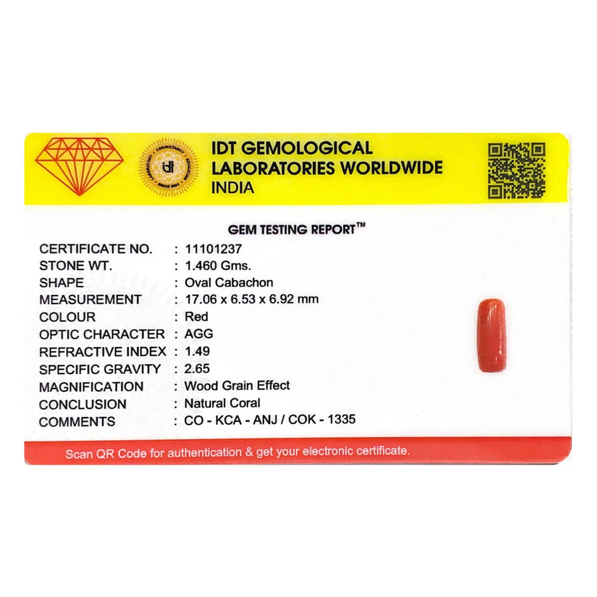 Red Coral - 7.3 Carat