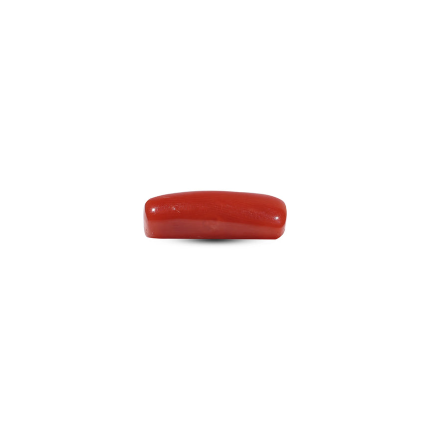 Red Coral - 6.65 Carat