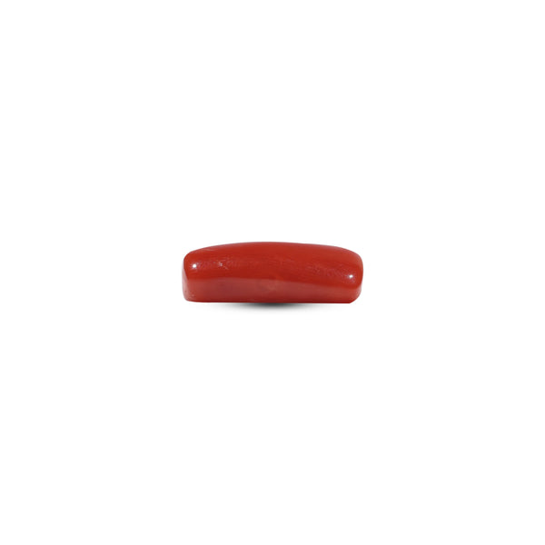 Red Coral - 6.65 Carat