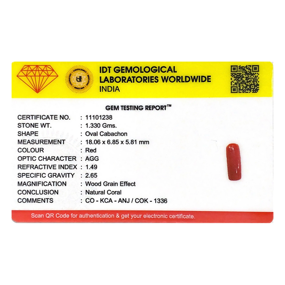 Red Coral - 6.65 Carat