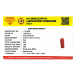 Red Coral - 6.65 Carat