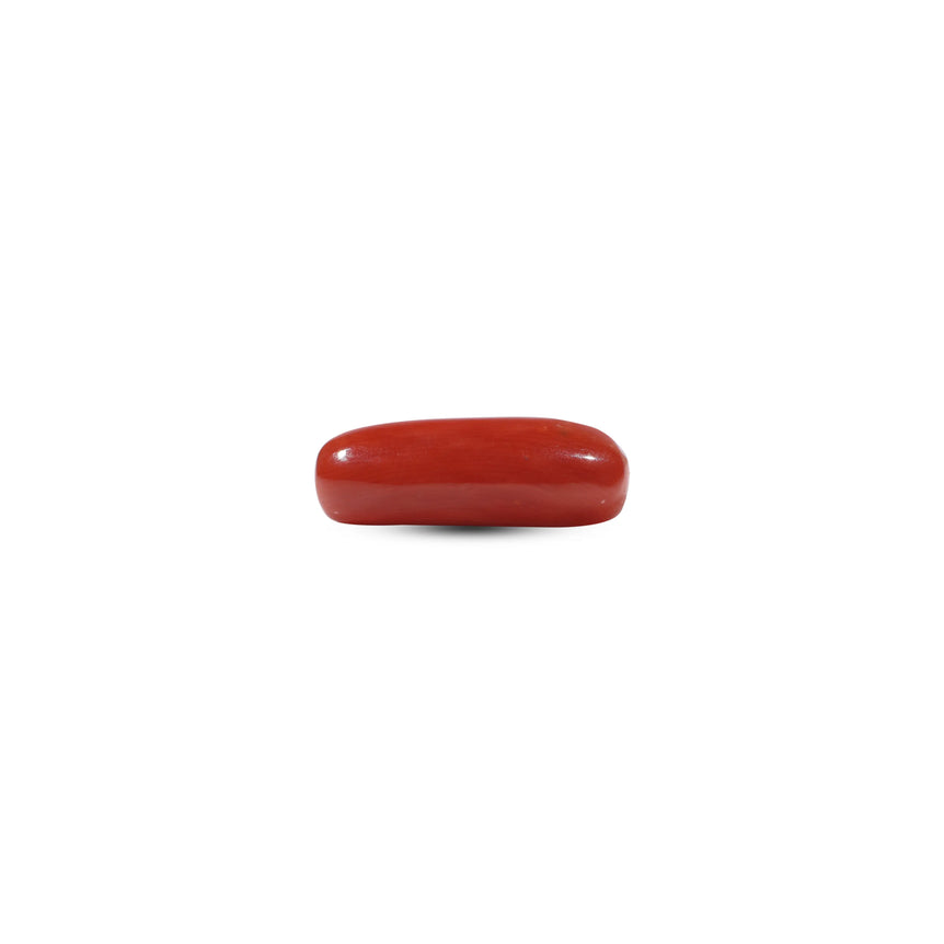 Red Coral - 6 Carat - Pramogh