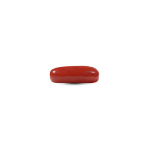 Red Coral - 6 Carat - Pramogh