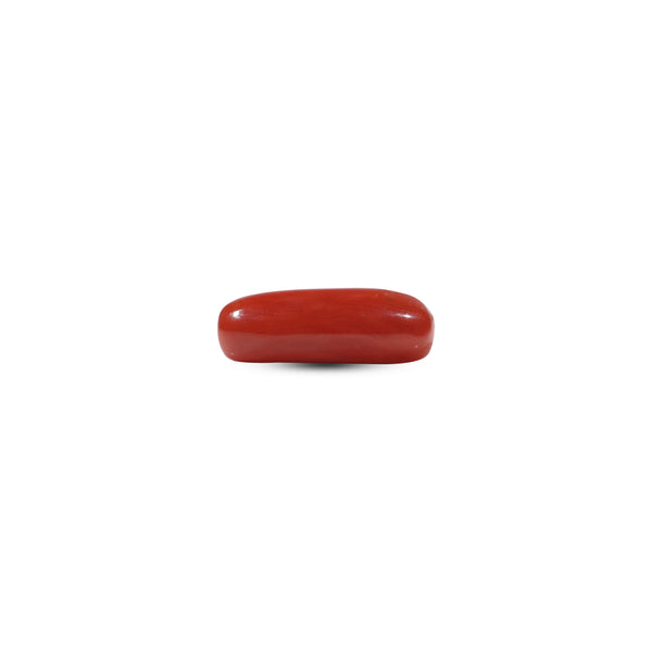 Red Coral - 6 Carat - Pramogh