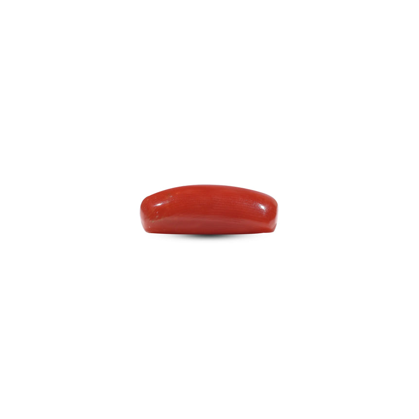 Red Coral - 6 Carat