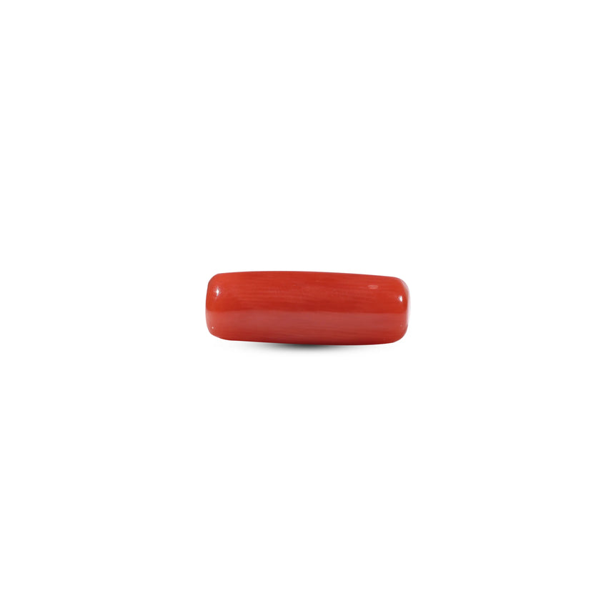 Red Coral - 5.5 Carat - Pramogh