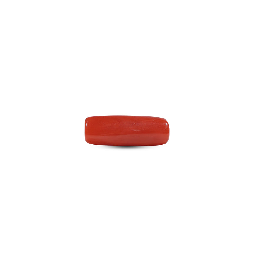 Red Coral - 5.5 Carat
