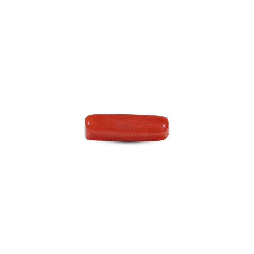 Red Coral - 5.5 Carat