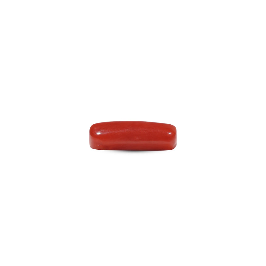 Red Coral - 5.5 Carat