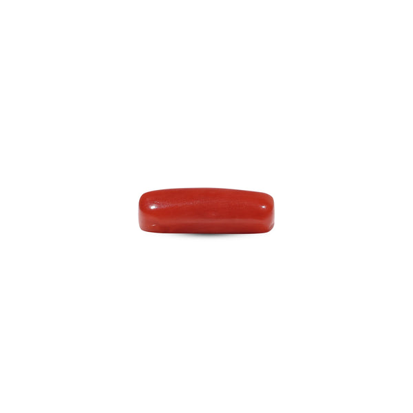 Red Coral - 5.5 Carat
