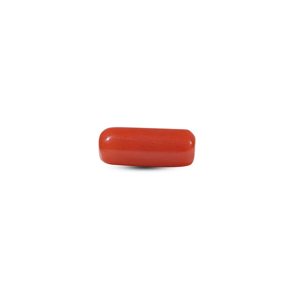 Red Coral - 7 Carat - Pramogh