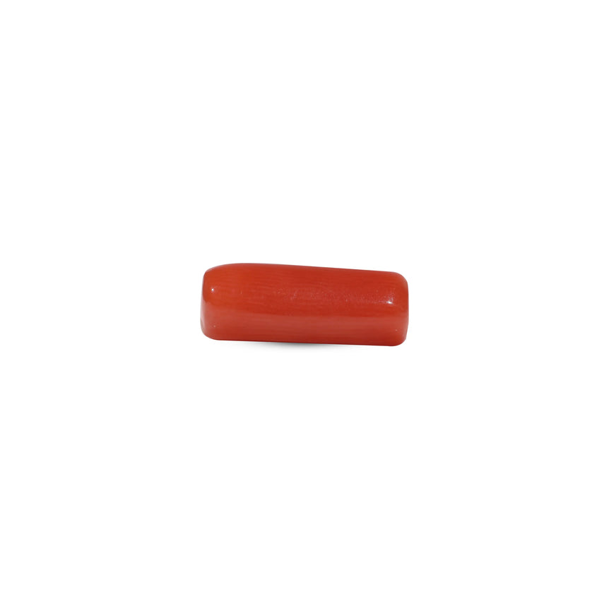 Red Coral - 7 Carat