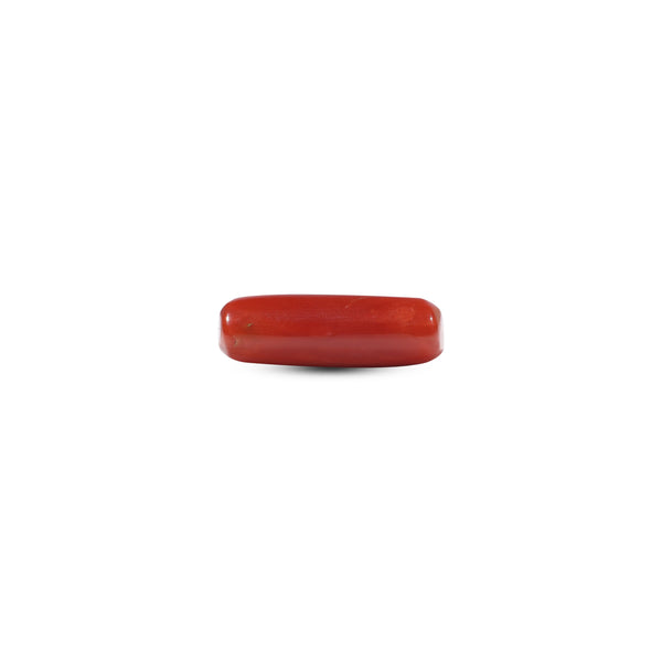 Red Coral - 6.75 Carat