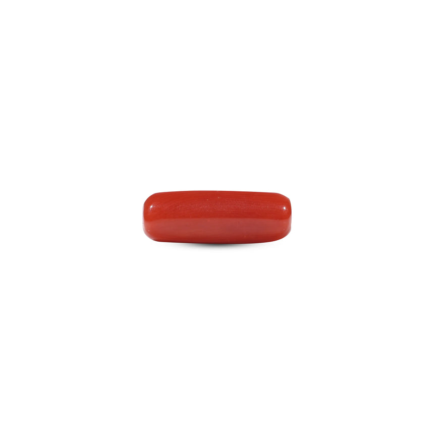 Red Coral - 5.85 Carat - Pramogh