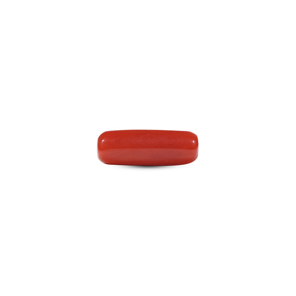 Red Coral - 5.85 Carat - Pramogh