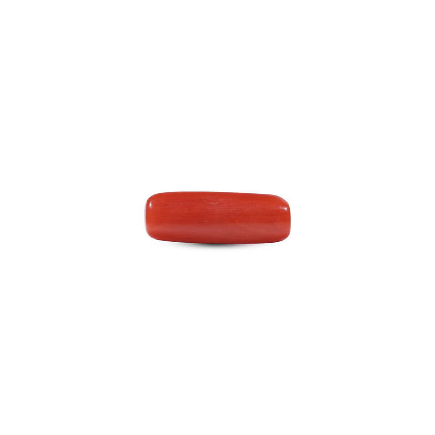 Red Coral - 5.85 Carat