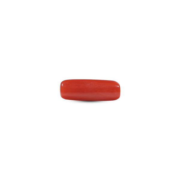 Red Coral - 5.85 Carat