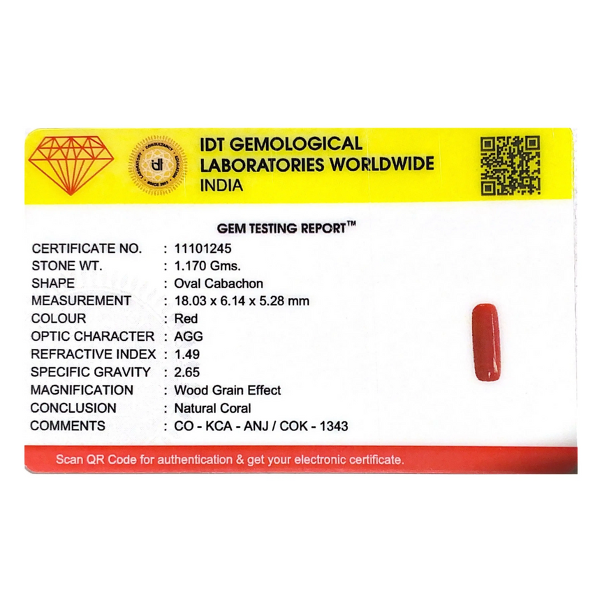 Red Coral - 5.85 Carat