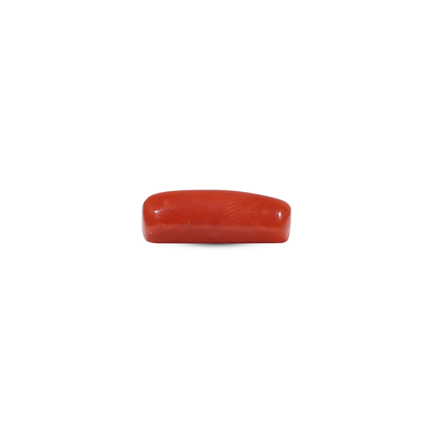 Red Coral - 5.6 Carat