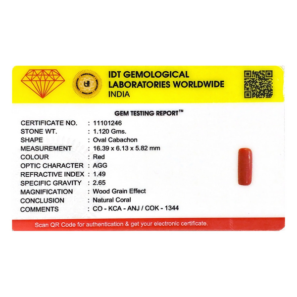 Red Coral - 5.6 Carat