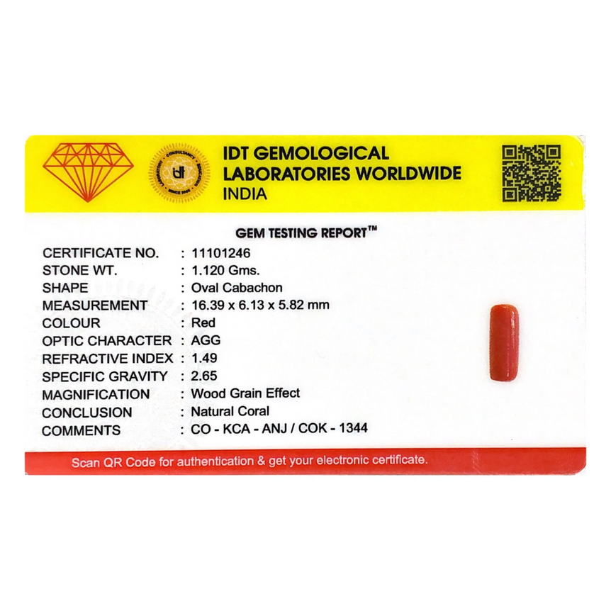 Red Coral - 5.6 Carat