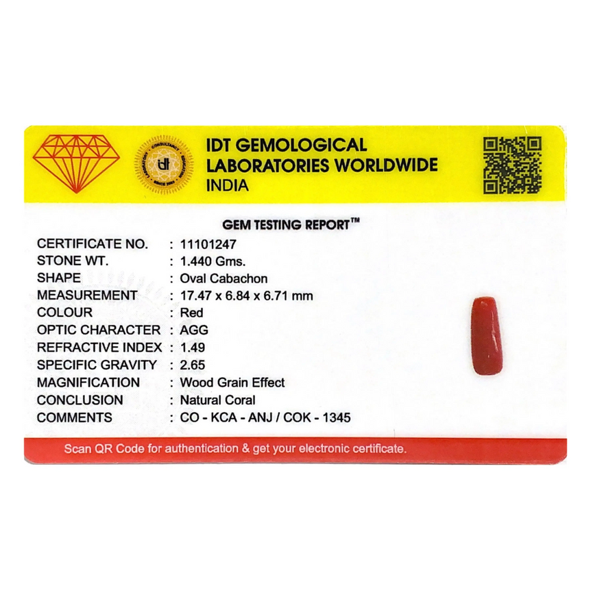 Red Coral - 7.2 Carat