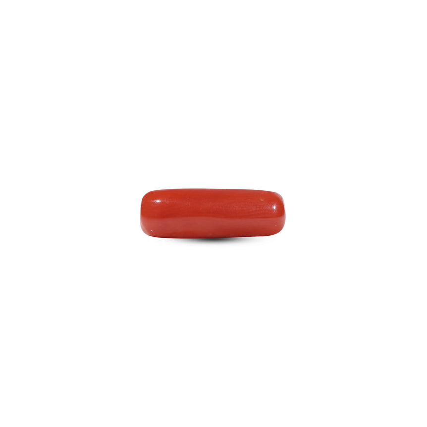 Red Coral - 5.65 Carat - Pramogh