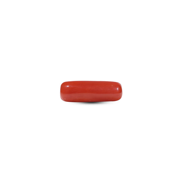 Red Coral - 5.65 Carat - Pramogh