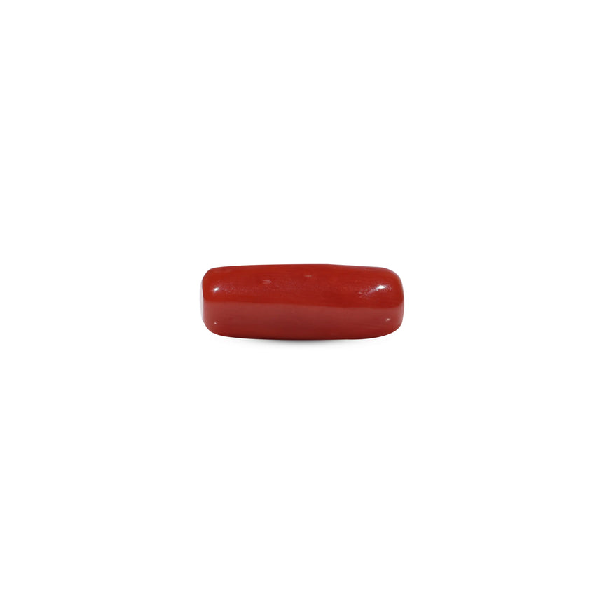 Red Coral - 6.65 Carat - Pramogh