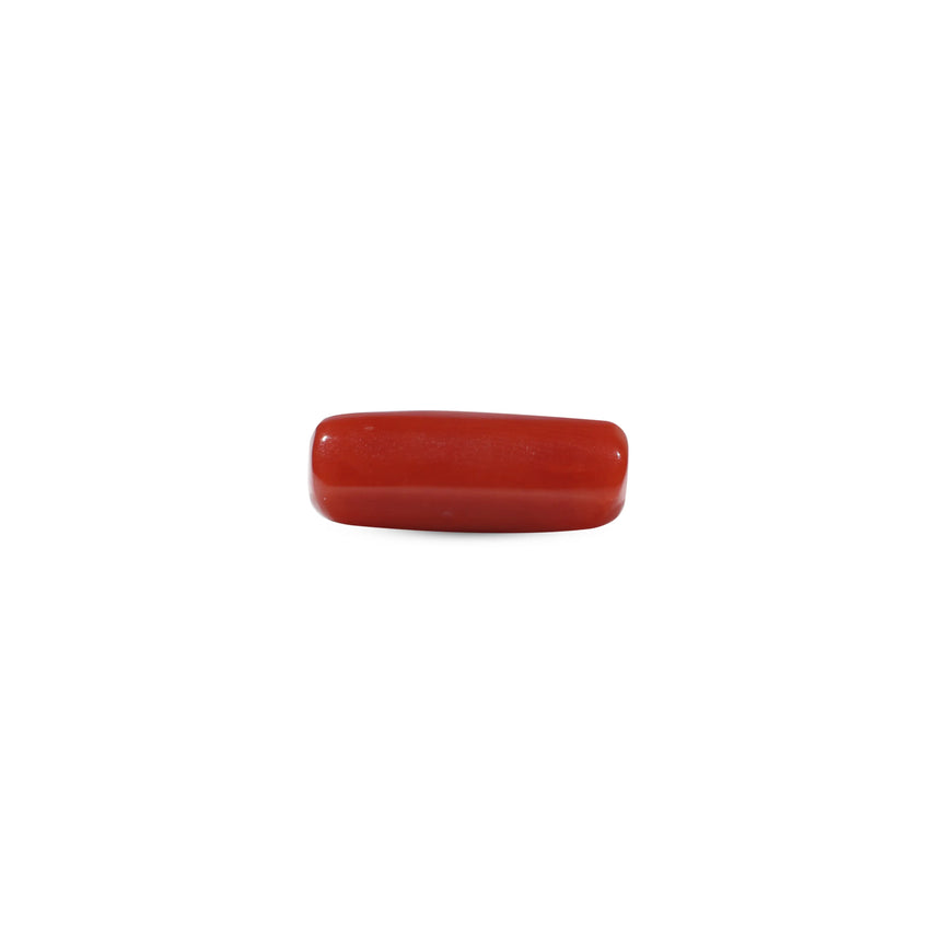 Red Coral - 6.65 Carat
