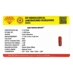 Red Coral - 6.65 Carat