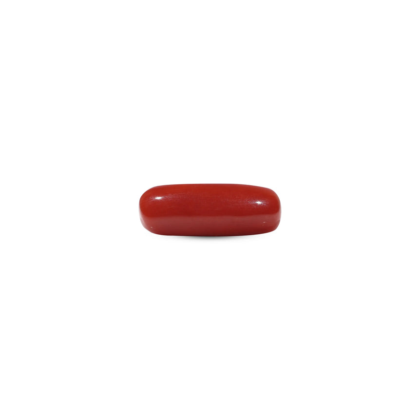 Red Coral - 6.95 Carat - Pramogh