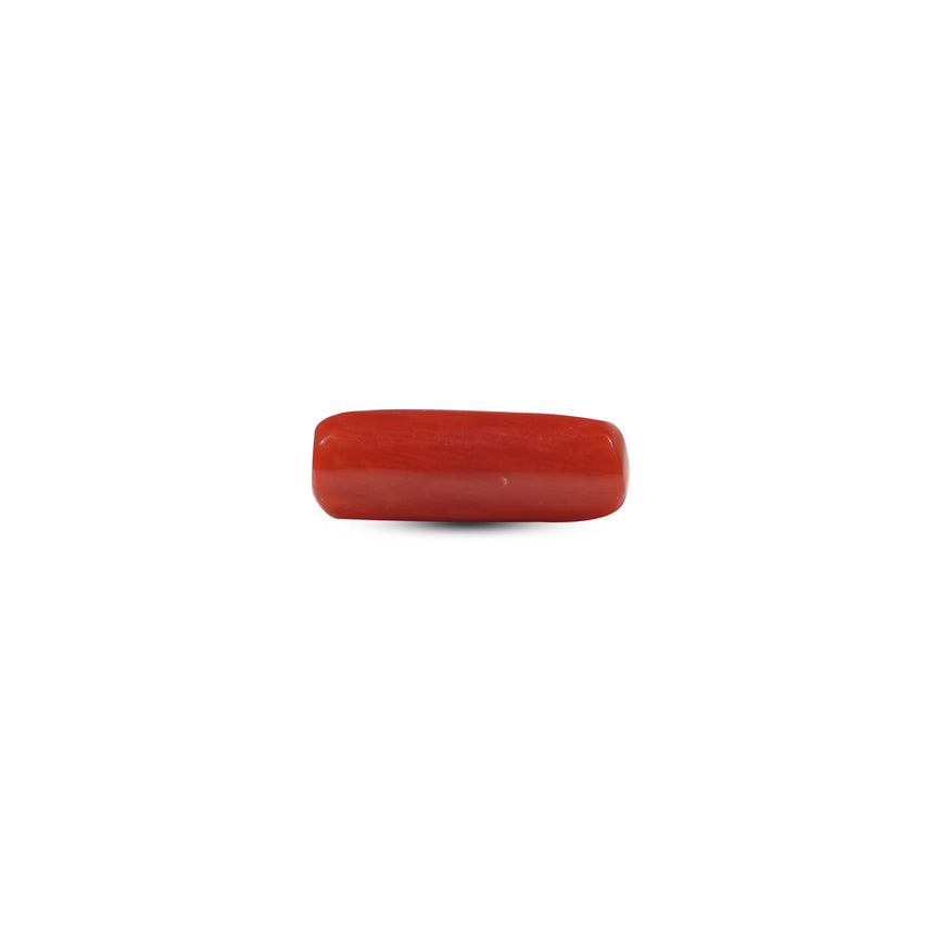 Red Coral - 6.15 Carat