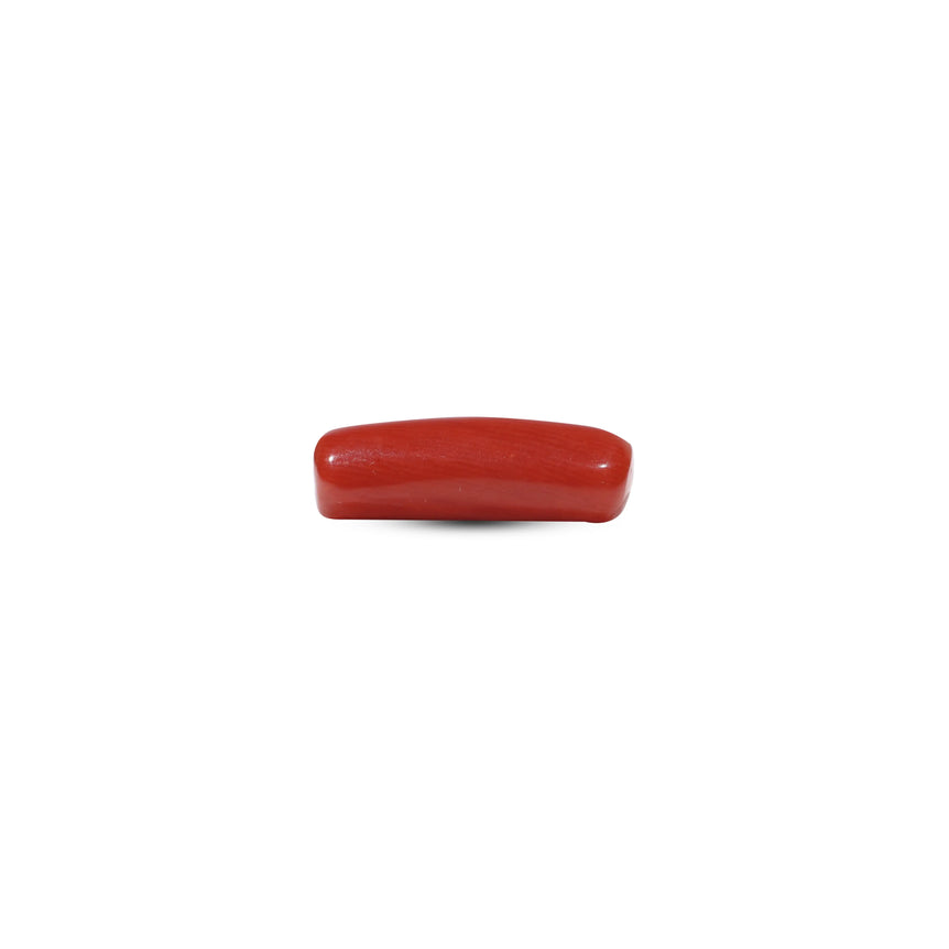 Red Coral - 6.15 Carat