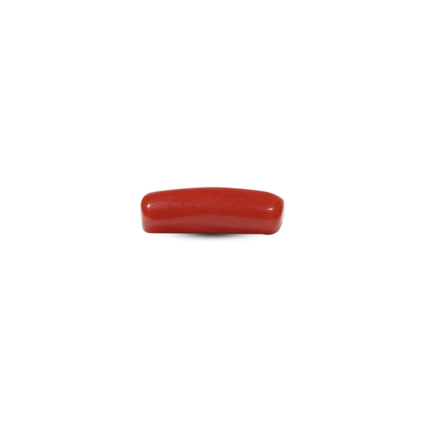 Red Coral - 6.15 Carat
