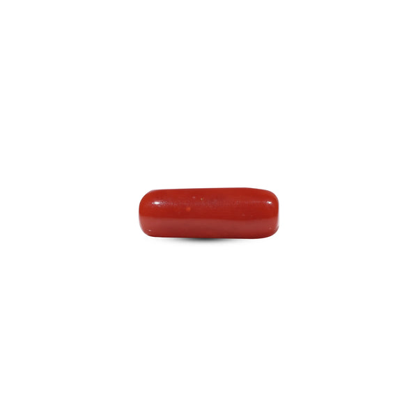 Red Coral - 7.05 Carat - Pramogh