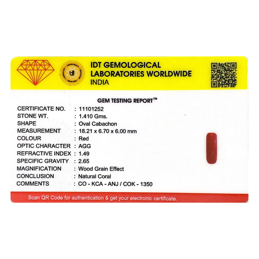 Red Coral - 7.05 Carat
