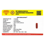 Red Coral - 7.05 Carat