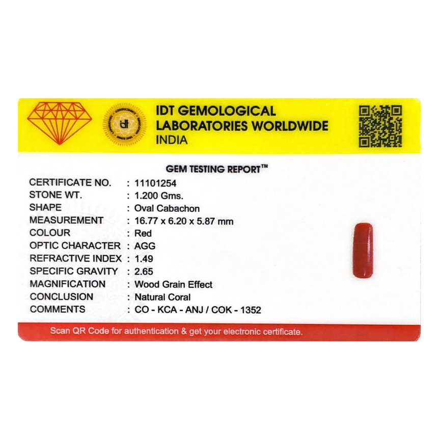 Red Coral - 6 Carat