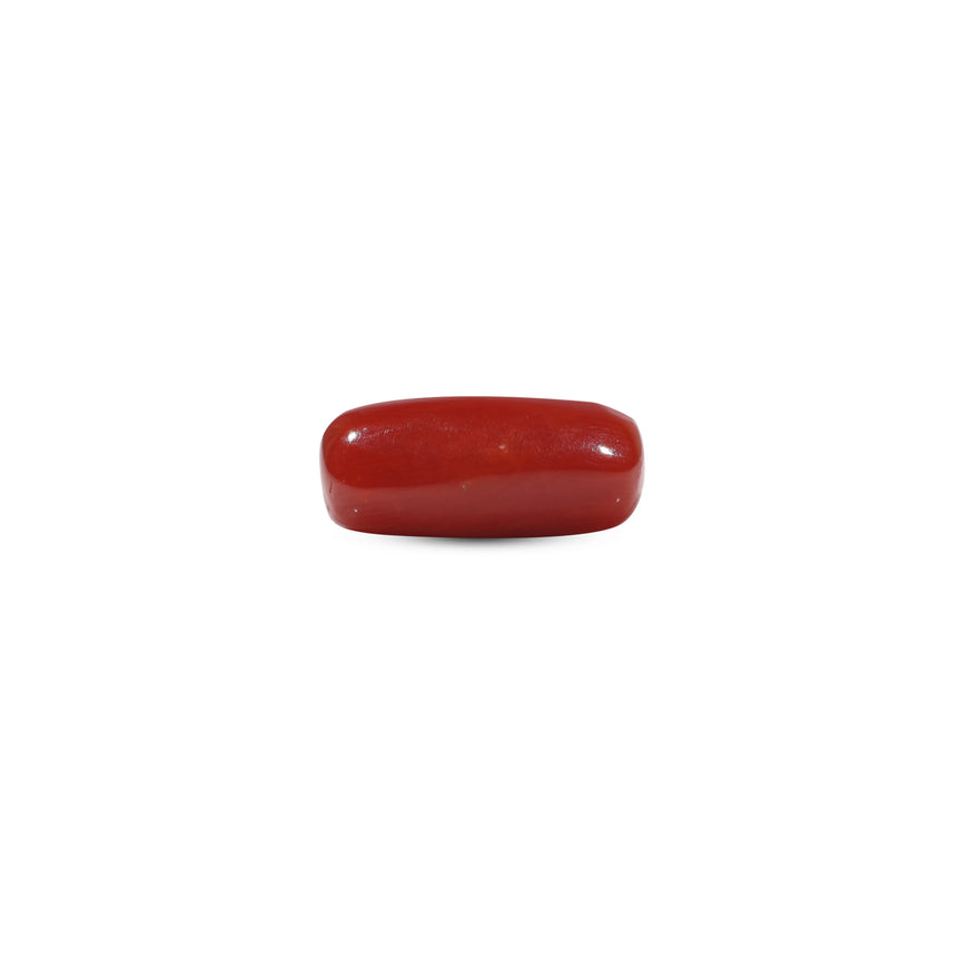 Red Coral - 5.45 Carat - Pramogh